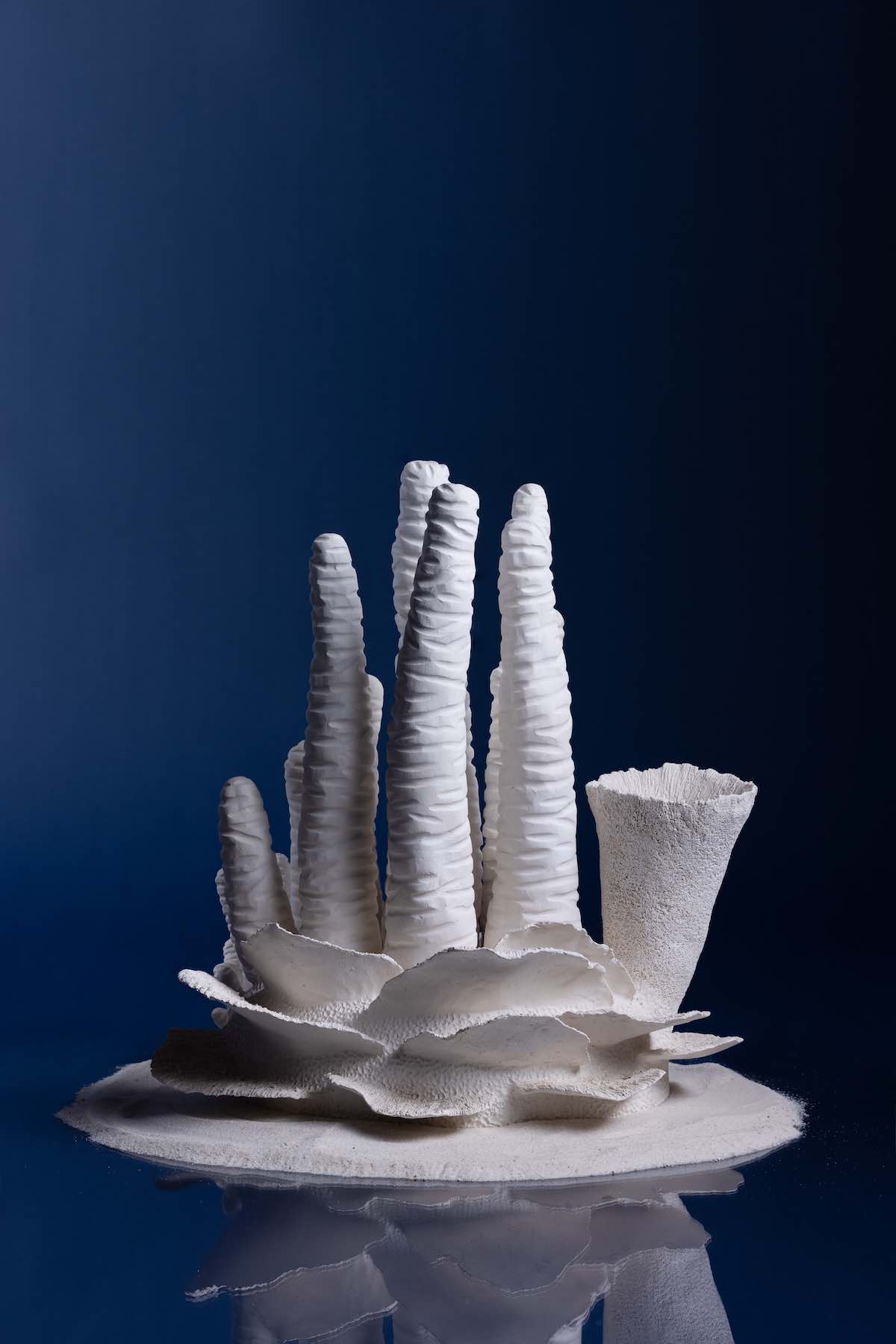 Coral Exhiibition