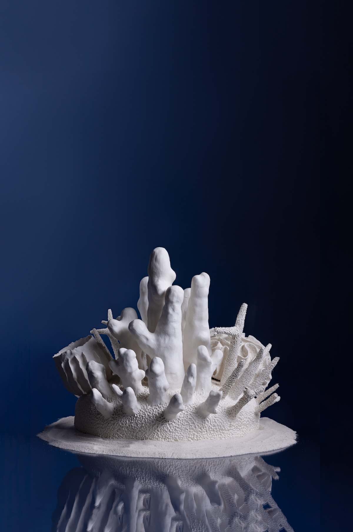 Coral Exhiibition