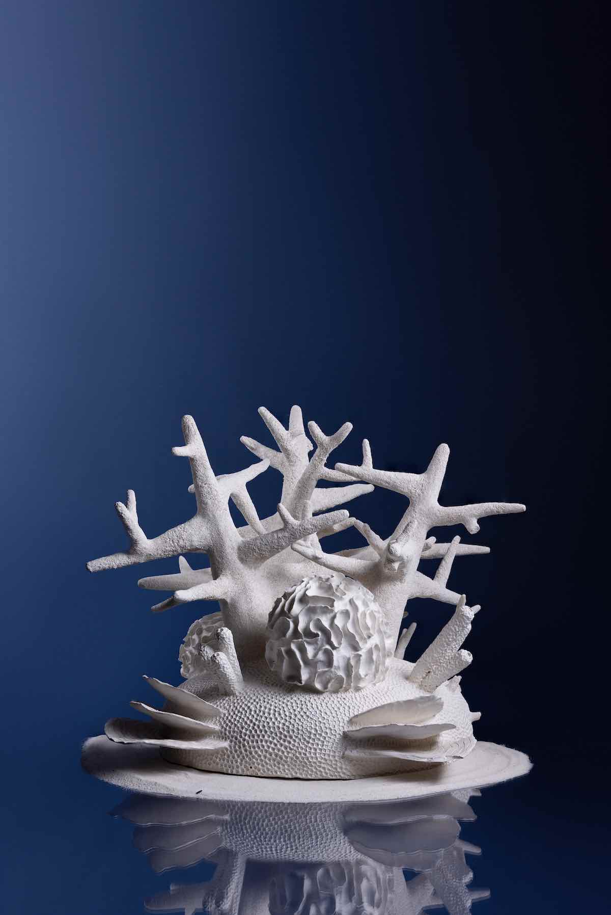 Coral Exhiibition