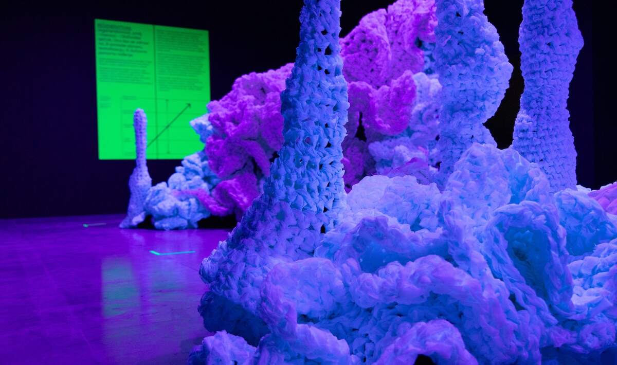 Exhibitions to visit this Summer 2024