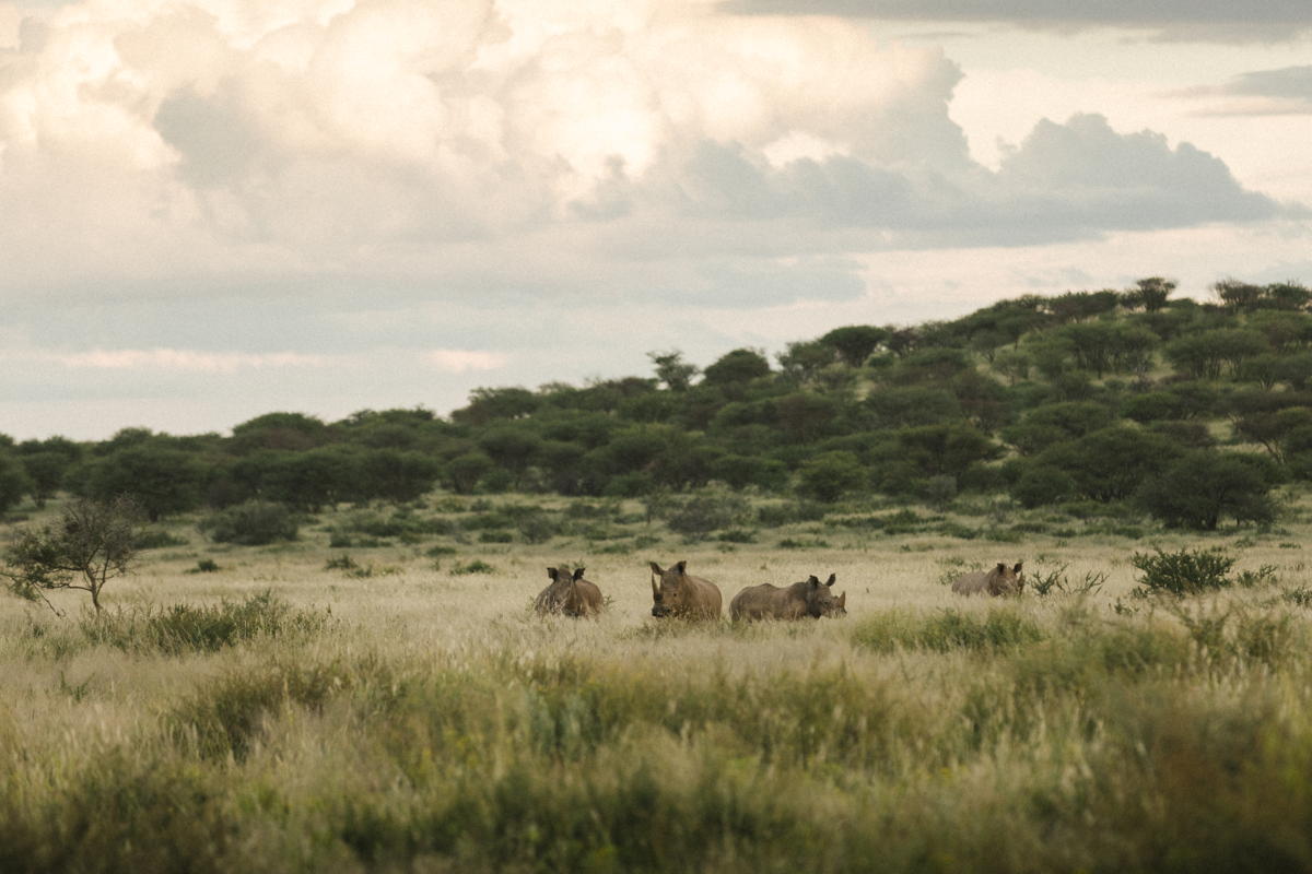 Habitas Namibia, Wellness Hotels, Sustainable Travel Locations