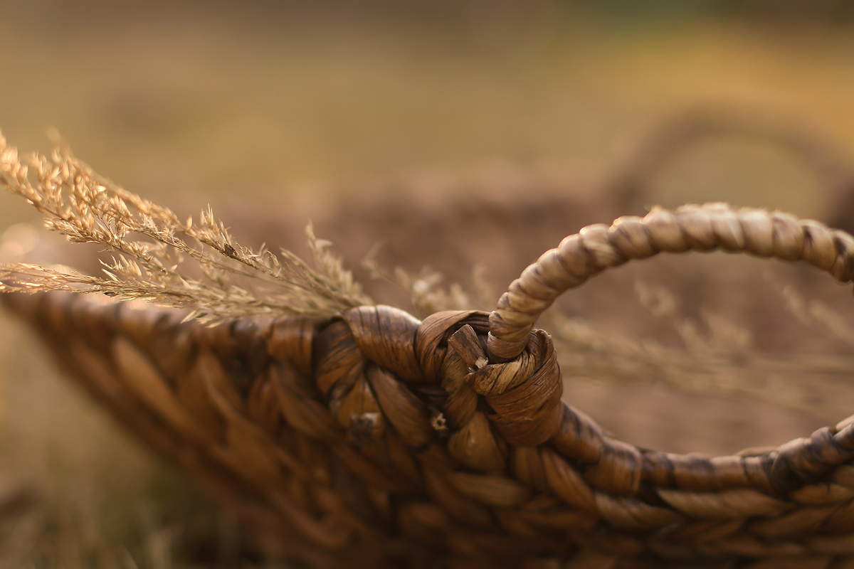 Close-Up Of Weat In A Basket