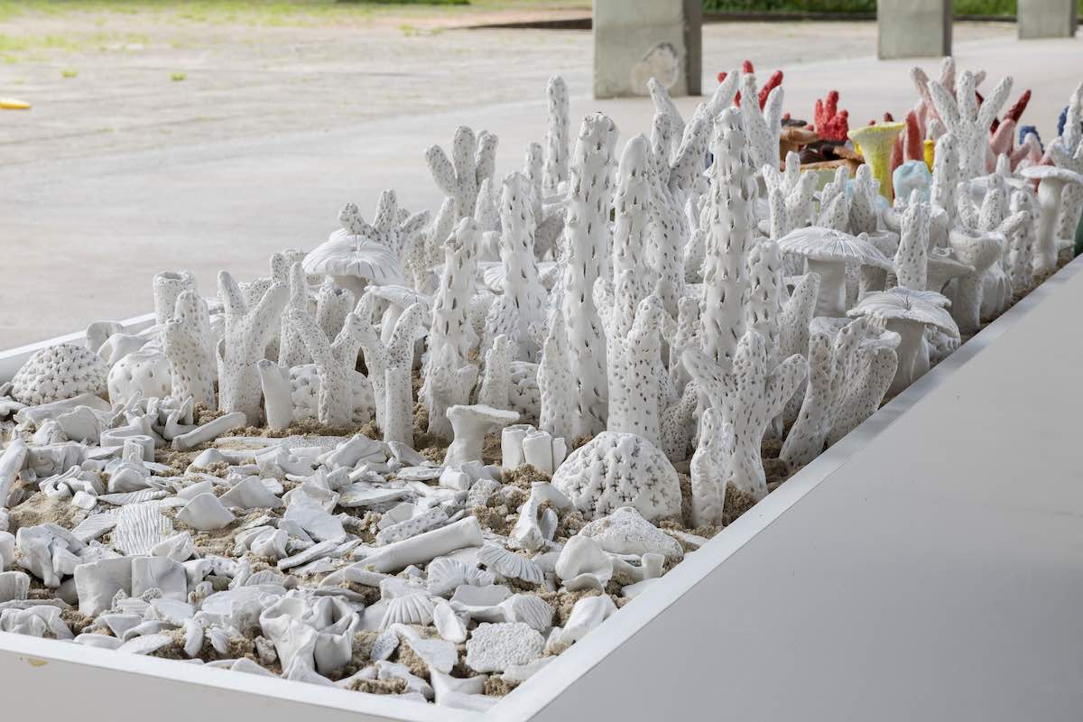 Coral Bleaching