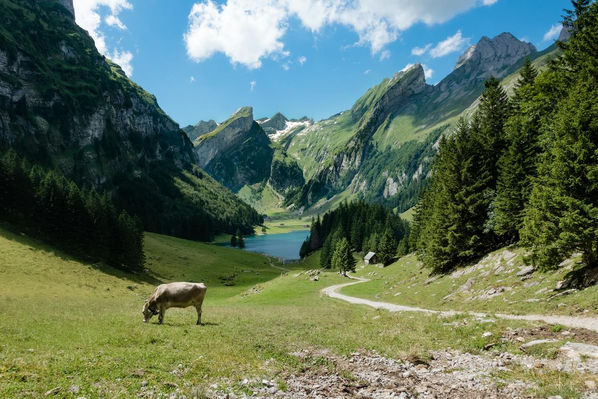 Switzerland Mountains