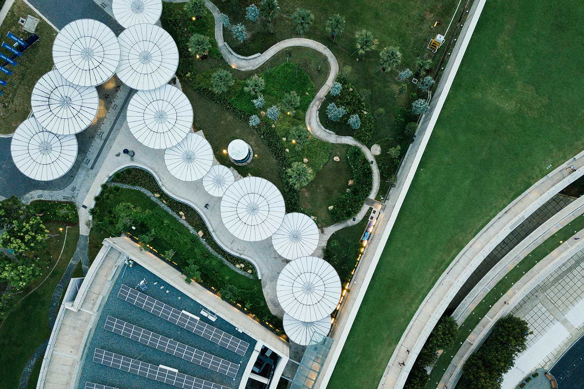 green roof in city