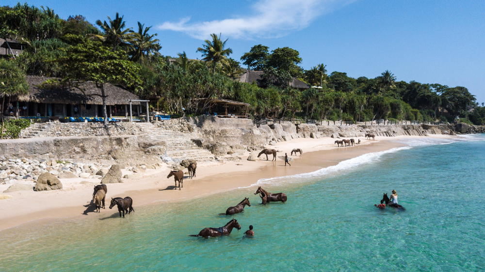 Tania Araujo, Swimming with Horses, Nihi Sumba, Sustainable Hotel