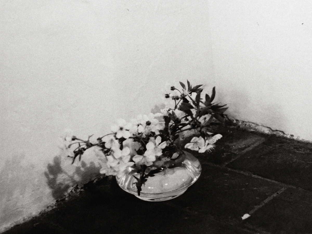 Fashion-Editorial-In-Praise-Of-Impermanence