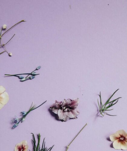 Phytopoetics-Literary-Ecology-and-Floral-Poetry-luxiders-magazine