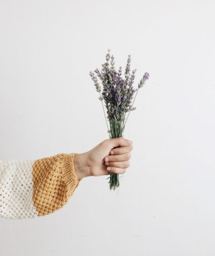 Arm Holding Lavender. Wellness.
