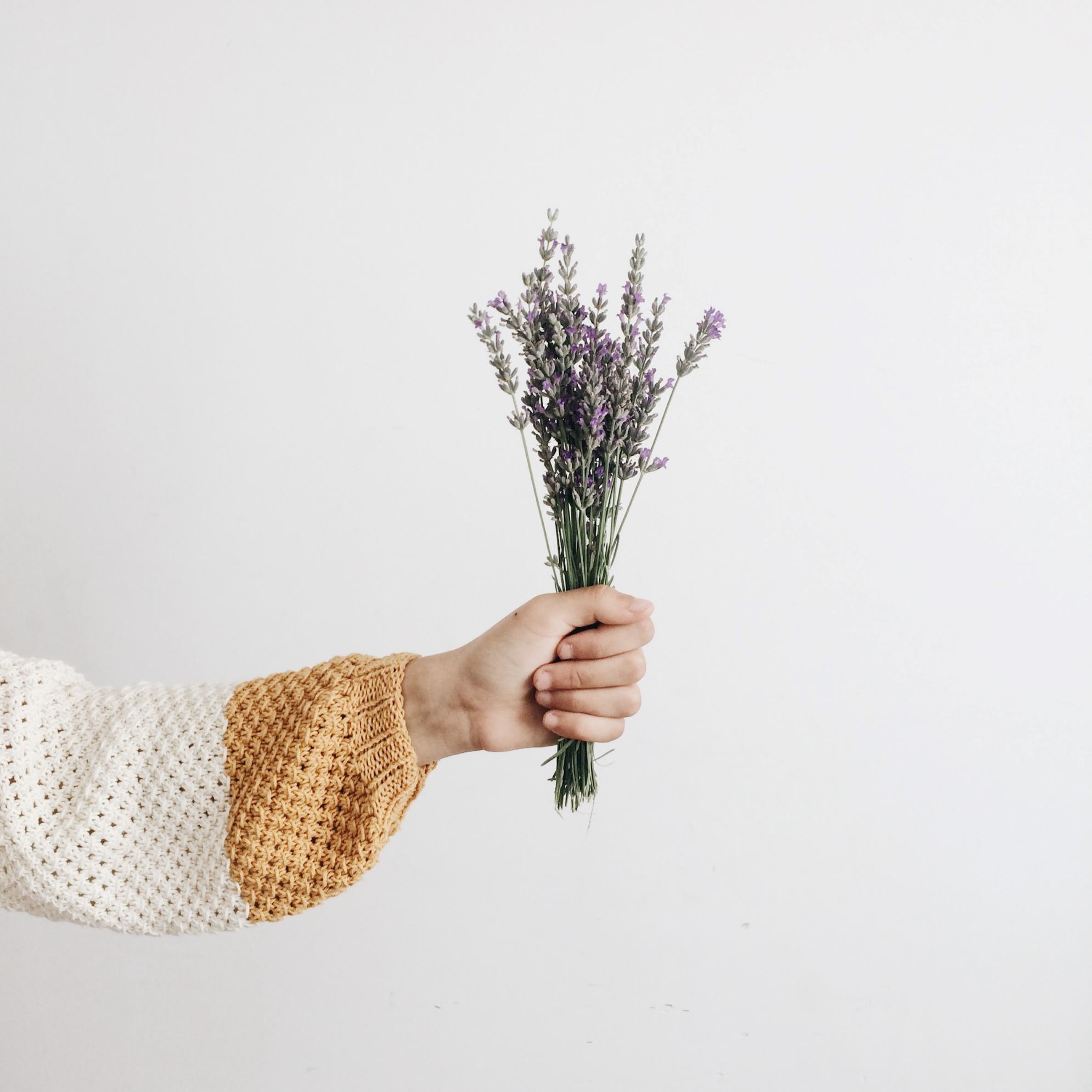 Arm Holding Lavender. Wellness.