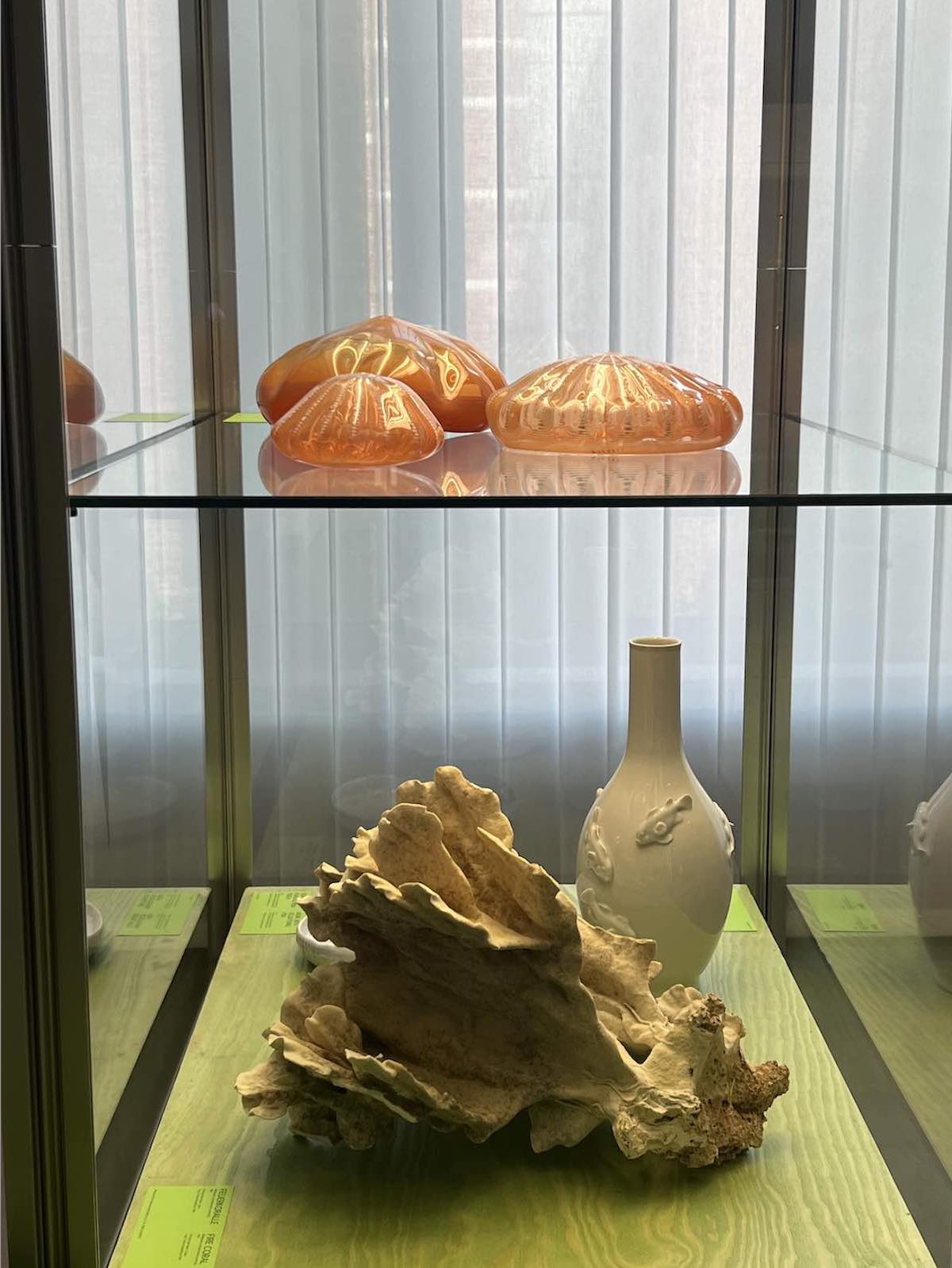 Coarl Reef Objects