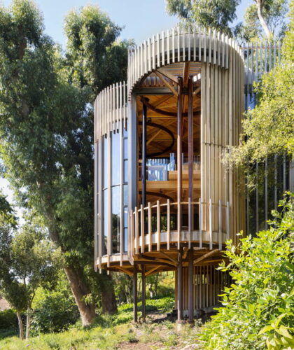 Malan Vorster Treehouse © Adam Letch