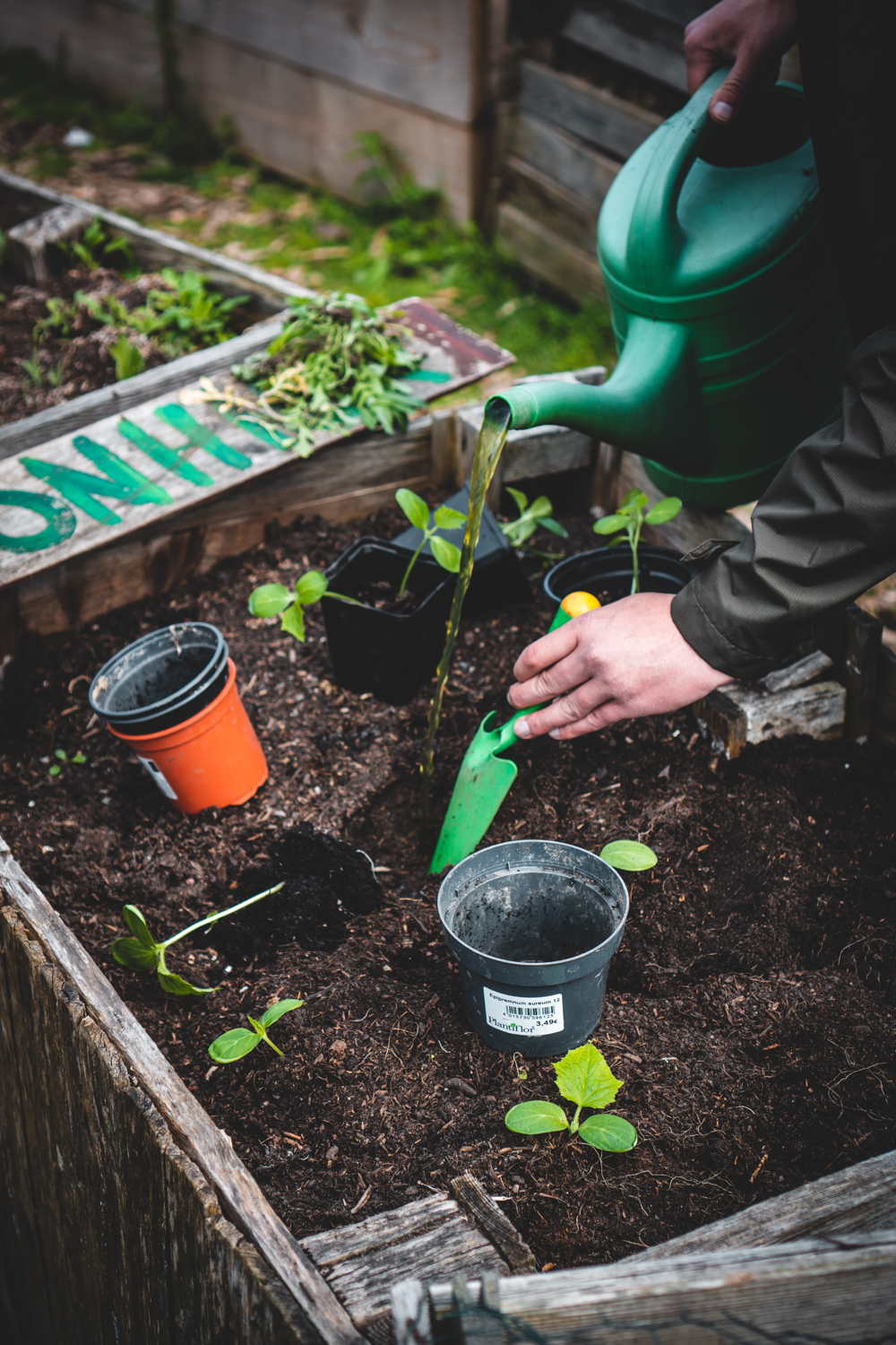 Urban Gardening
