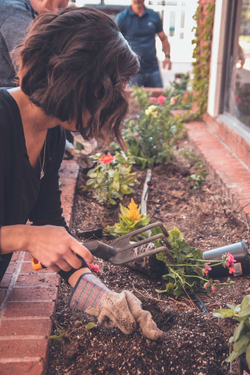 Person Urban Gardening